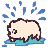 eveonecat-splash.png