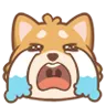 squirrel-cry.png